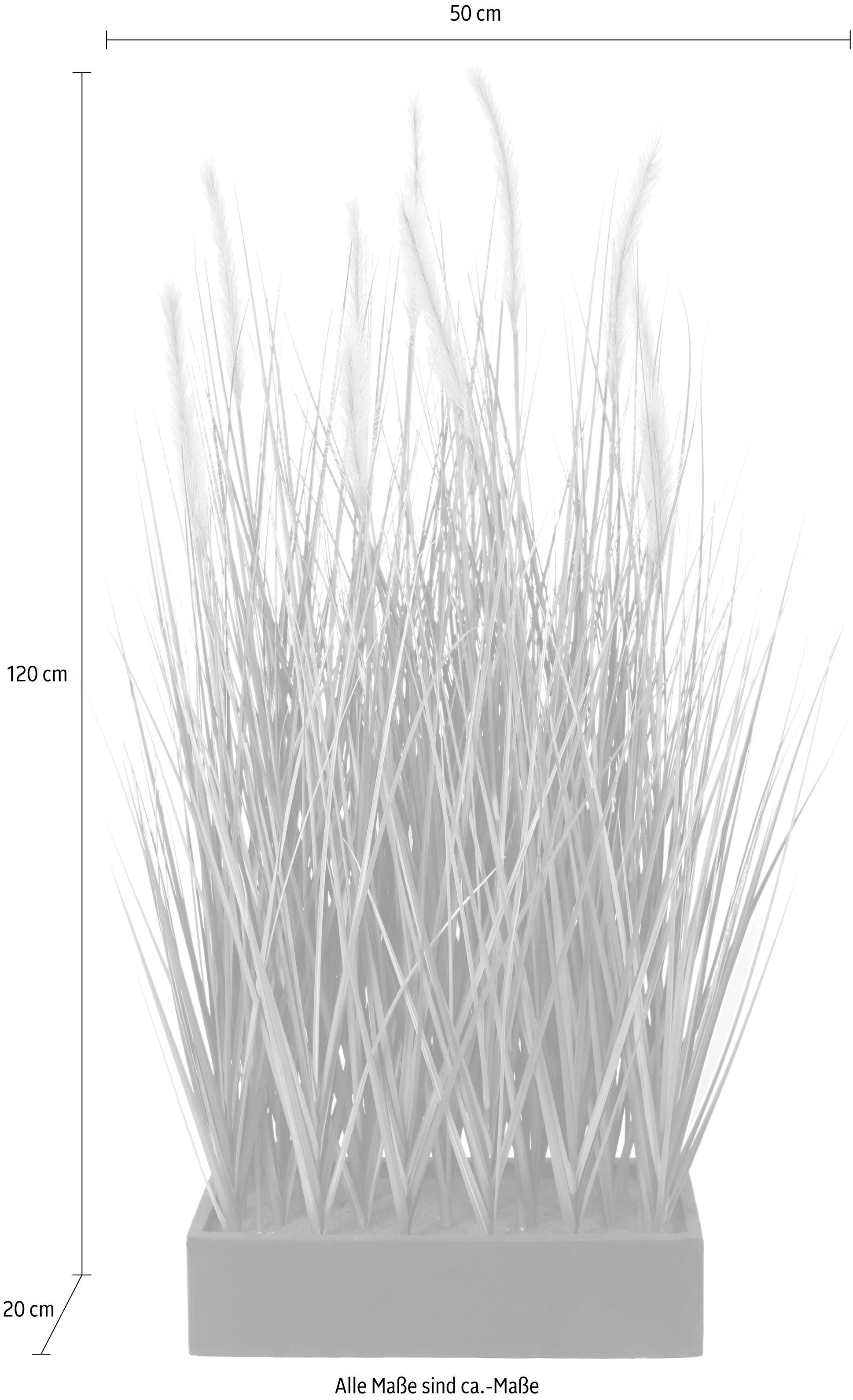 I.GE.A. Kunstpflanze »Fuchsschwanzgras im Topf«