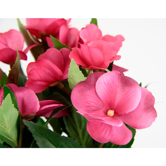 I.GE.A. Kunstblume »Fleißiges Lieschen«, Im Topf, 3er Set Impatiens  Valeriana Textilblume Deko Blumentöpfe auf Raten kaufen