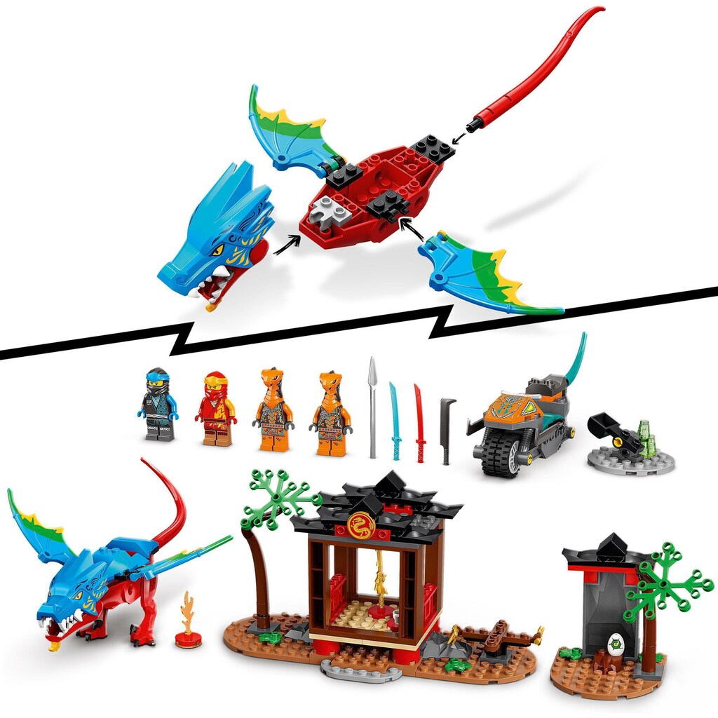 LEGO® Konstruktionsspielsteine »Drachentempel (71759), LEGO® NINJAGO«, (161 St.)