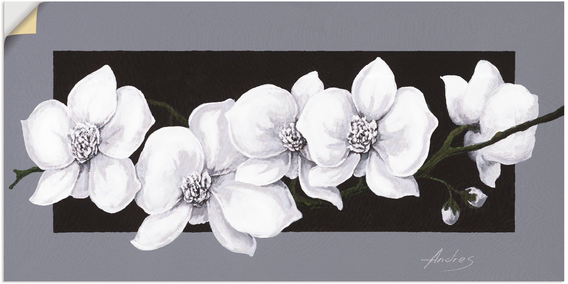 Artland Wandbild »weiße Orchideen auf Ornamenten«, Blumenbilder, (1 St.),  als Alubild, Leinwandbild, Wandaufkleber oder Poster in versch. Größen auf  Raten bestellen