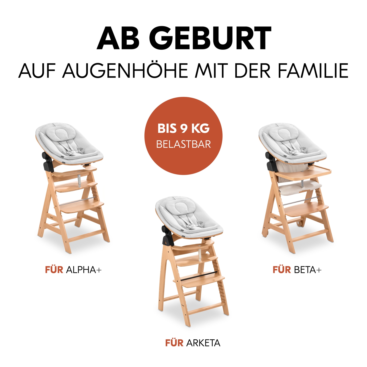 Hauck Hochstuhlaufsatz »Eco Bouncer« bis, 15 kg, inkl. Wippengestell und Alpha-Adapter; FSC® - schützt Wald - weltweit