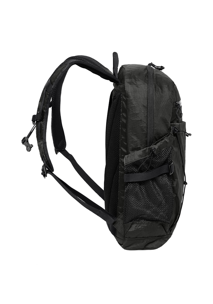 Jack Wolfskin Daypack »WANDERMOOD PACK 20«