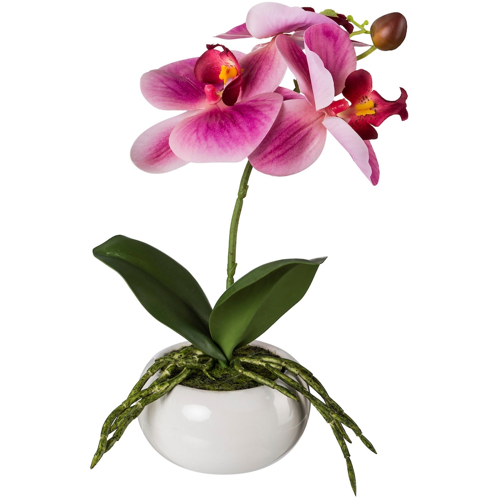 Creativ green Kunstorchidee »Phalaenopsis in Keramikschale«