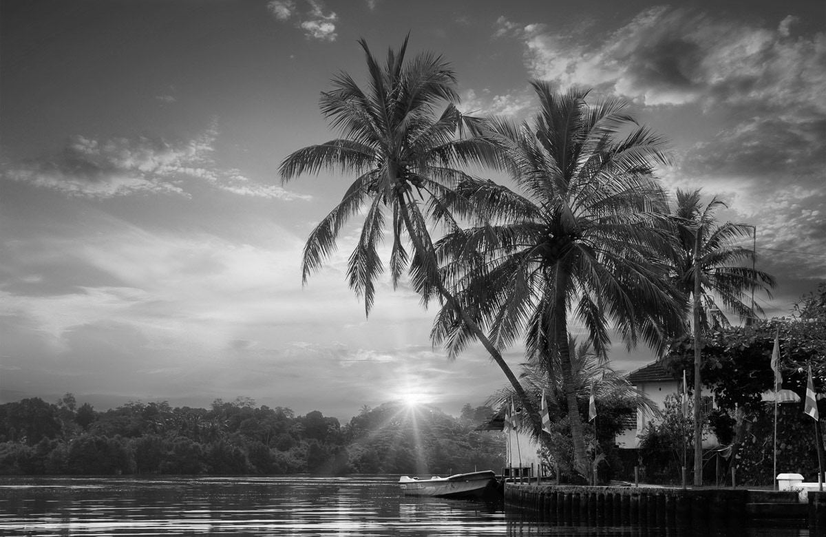 Papermoon, Fototapete »PALMEN-STRAND-BEACH DSCHUNGEL MEER SEE KARIBIK SÜDSEE«, bunt, Vlies, B/L: 4,5 m x 2,8 m - Bahnen: 9 Stk., bunt