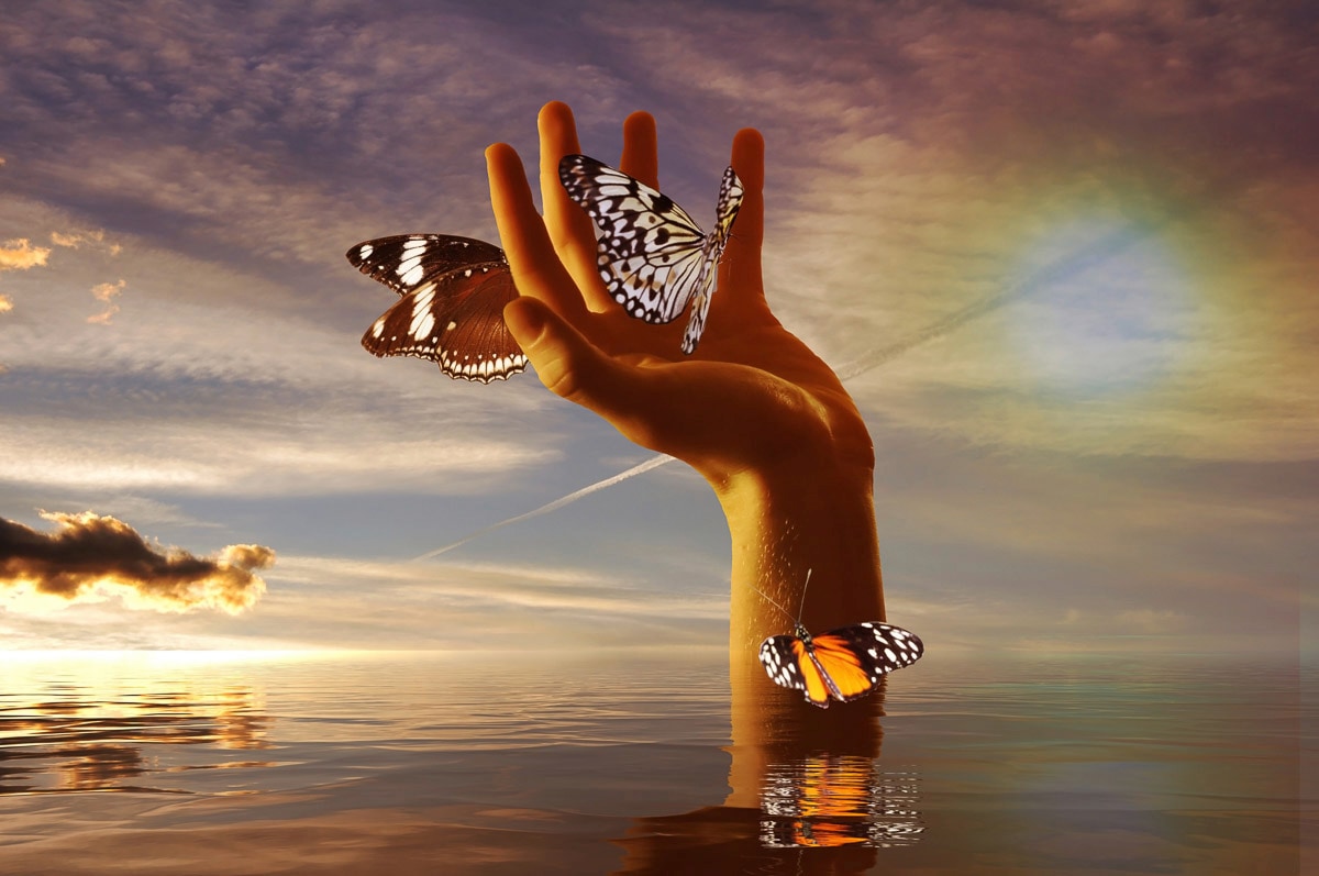 Papermoon, Fototapete »Schmetterlinge zähmen«, bunt, Vlies, B/L: 2,5 m m x 1,86 m m - Bahnen: 5 Stk. St., bunt