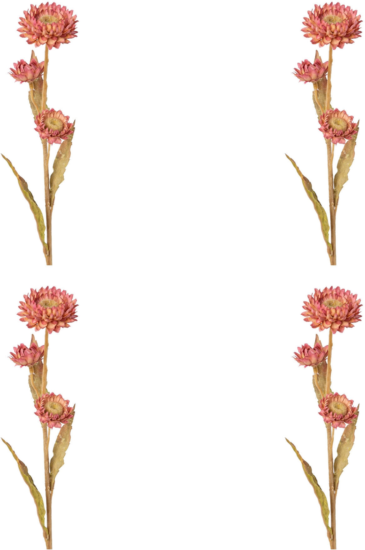 Creativ green Kunstblume »Strohblume«