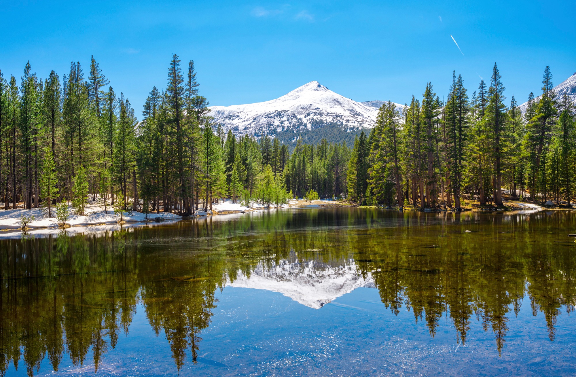 Fototapete »YOSEMITE-SEE GEBIRGE BERGE ALPEN SONNE WALD BÄUME«