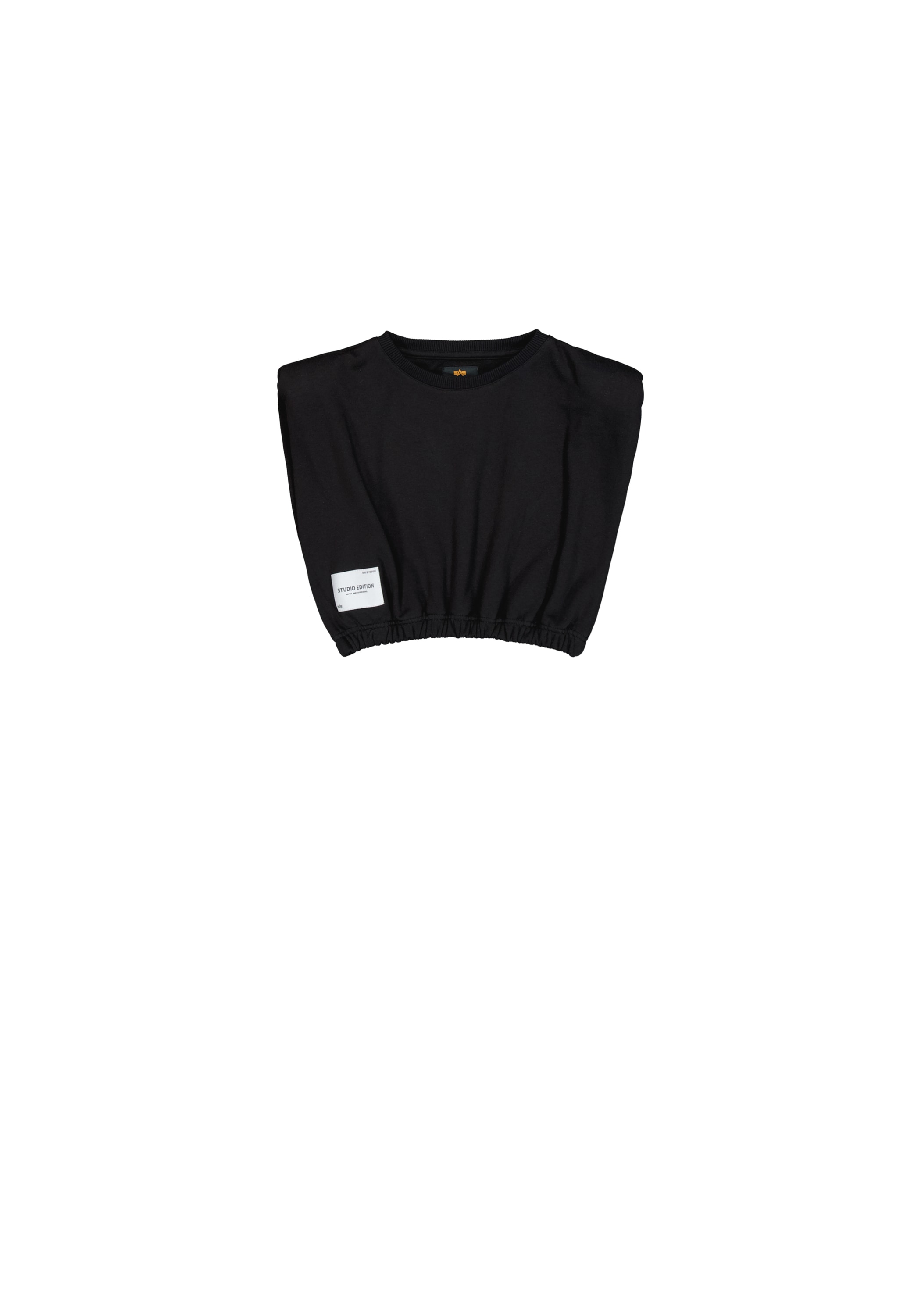 Alpha Industries Sweater »Studio Edition Sweatshirt Cropped W«
