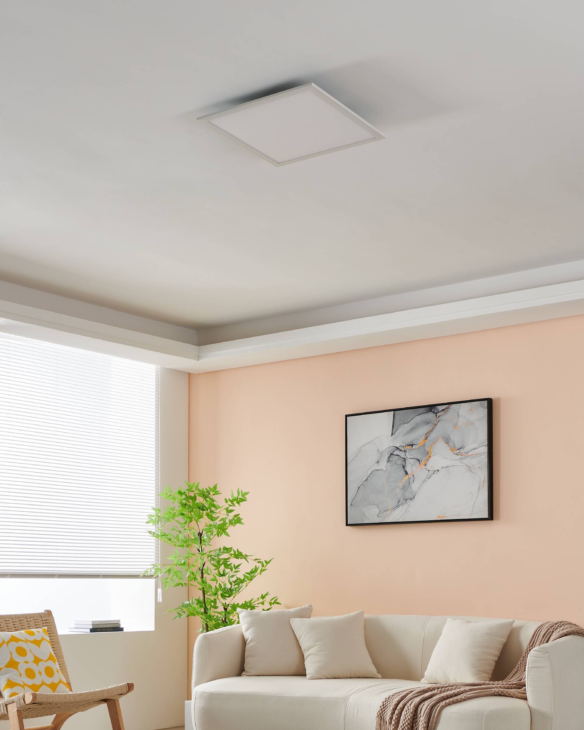 EGLO Deckenleuchte »SALOBRENA-Z« LED-Modul 1 Stk. warmweiß - kaltweiß Disco-Modus, App/Sprachsteuerung Alexa, 45x45x5cm, exkl. Fernbedienung