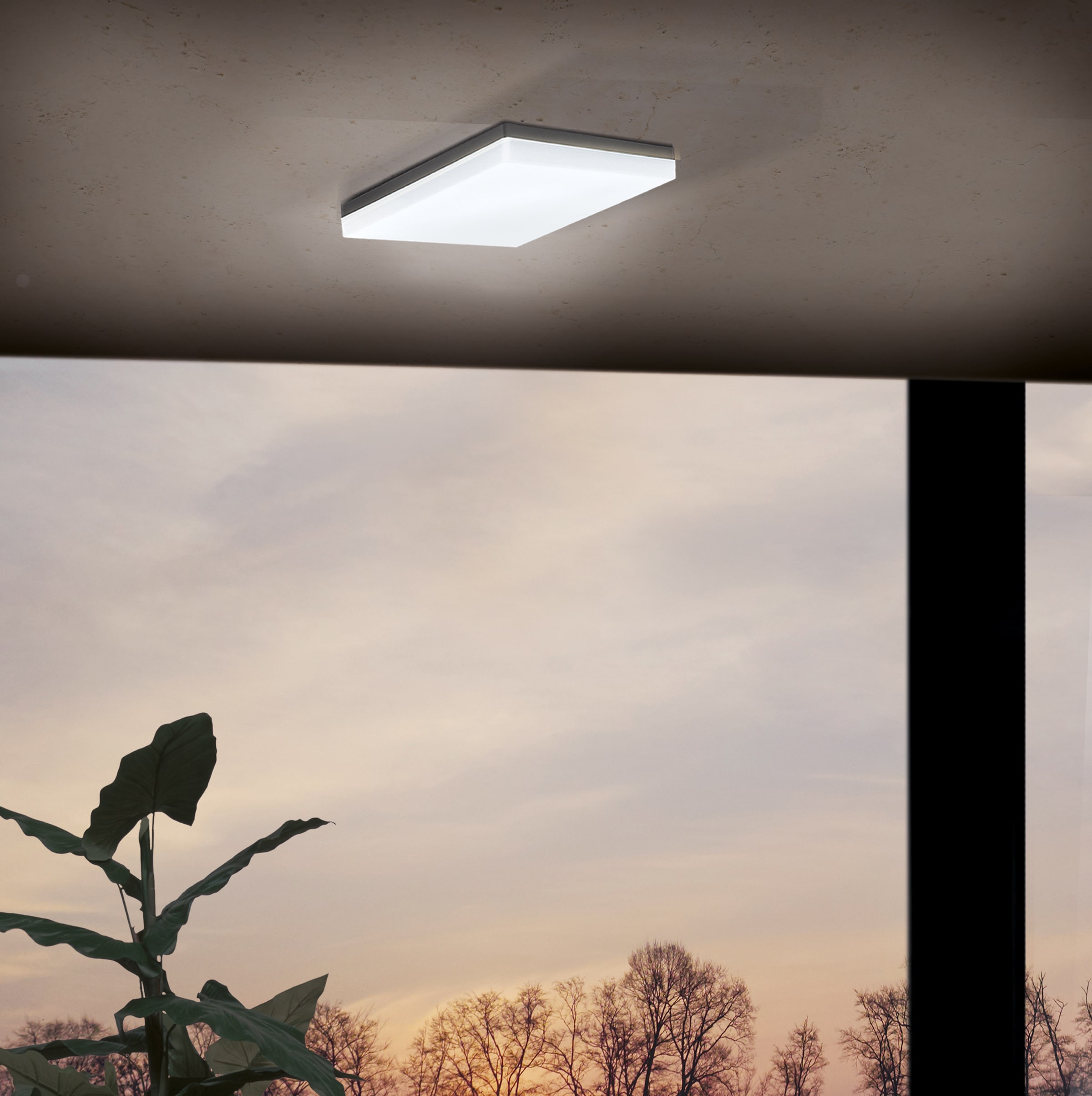 EGLO 3 Jahren LED »SONELLA«, | Außen-Deckenleuchte Garantie flammig-flammig, online mit XXL kaufen LED 1 tauschbar
