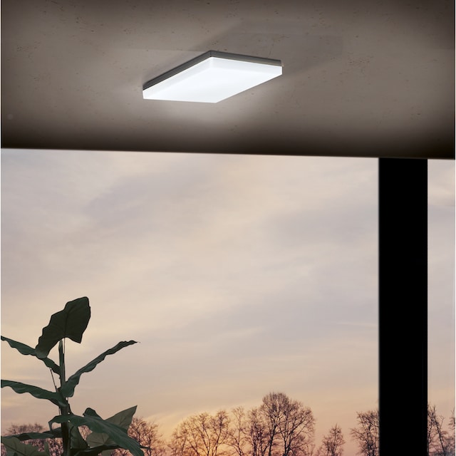 mit LED tauschbar 3 Garantie 1 Jahren kaufen »SONELLA«, | EGLO flammig-flammig, LED Außen-Deckenleuchte online XXL