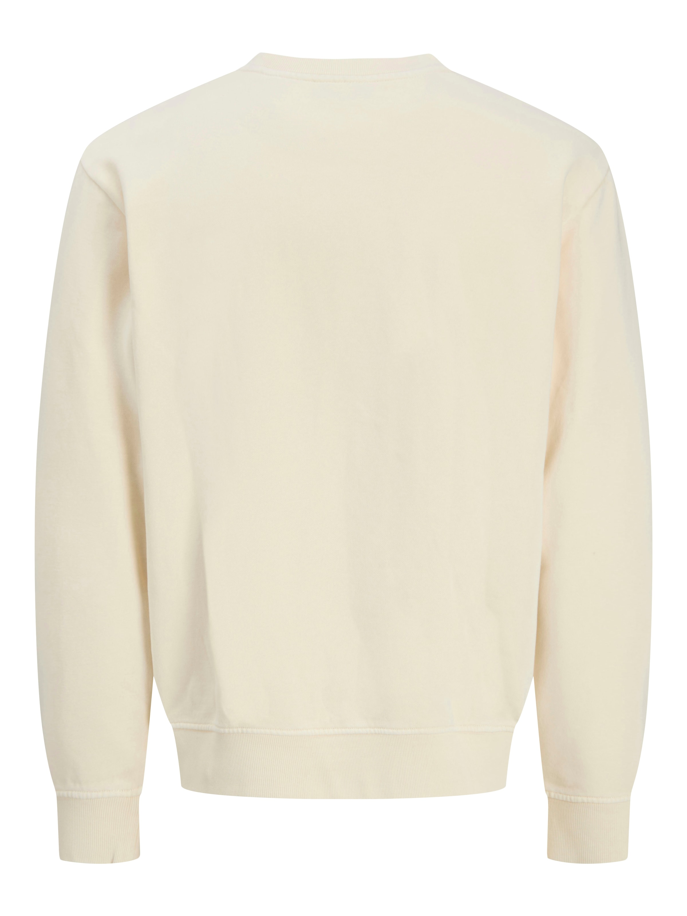 Jack & Jones Sweatshirt »JJEDOVER PRINT SWEAT CREW NECK«