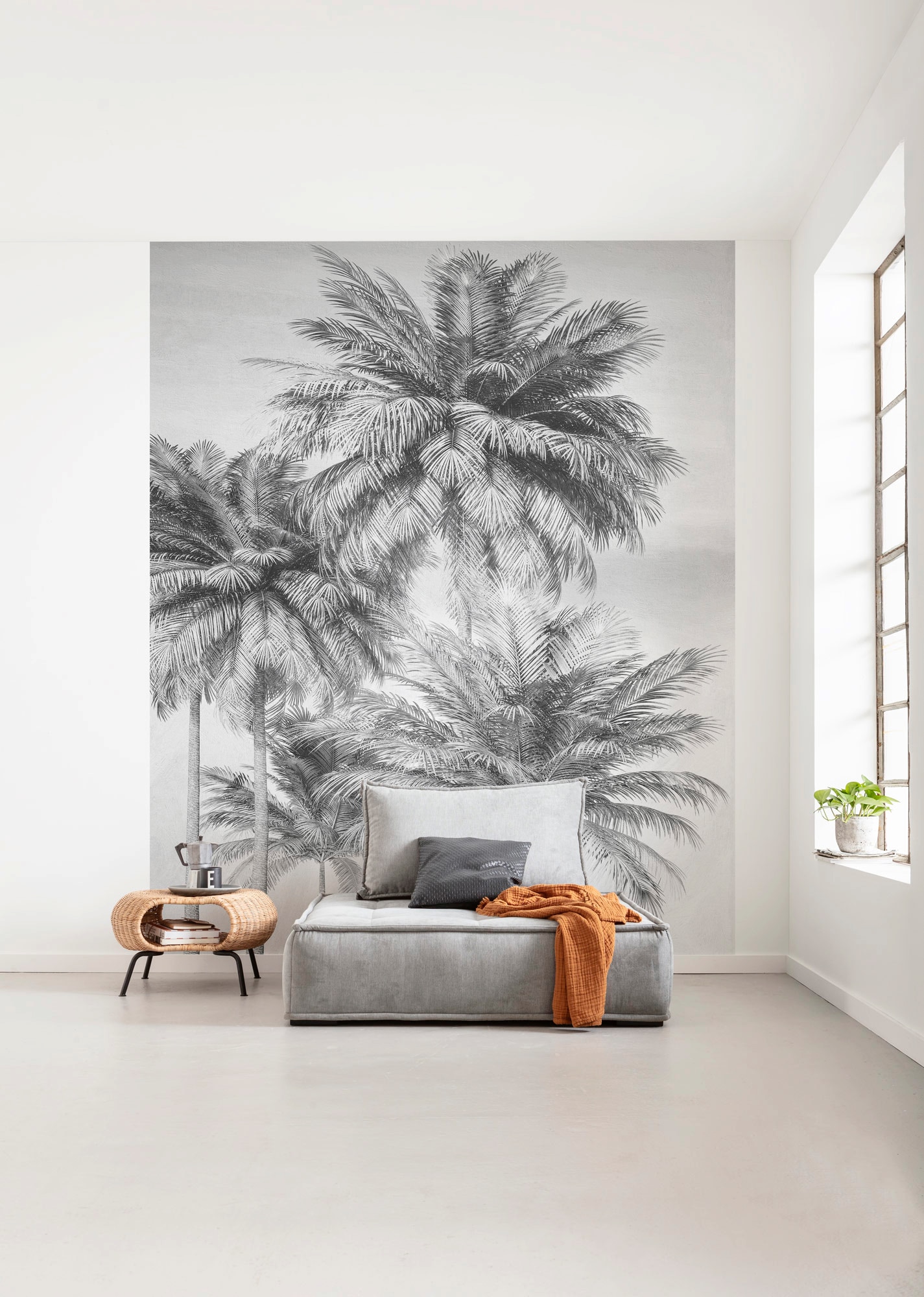 Komar Fototapete »Cocco«, bedruckt-floral-tropisch, 200x250 cm (Breite x  Höhe) online kaufen | mit 3 Jahren XXL Garantie | Fototapeten