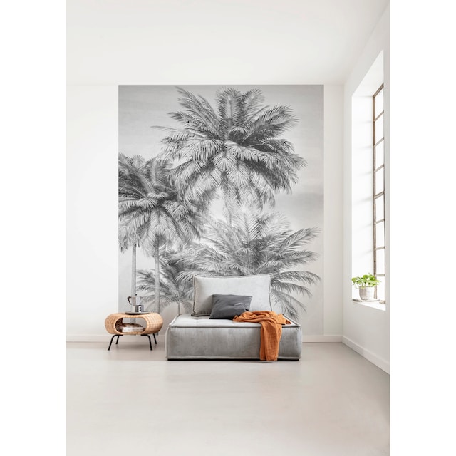 Komar Fototapete »Cocco«, bedruckt-floral-tropisch, 200x250 cm (Breite x  Höhe) online kaufen | mit 3 Jahren XXL Garantie