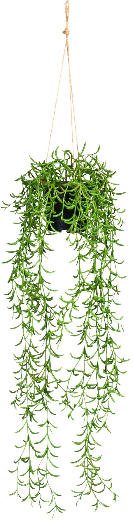 aus Creativ Hängetopf auf Kunstranke kaufen im Rechnung green Kunststoff »Nerifolia-Hänger«,