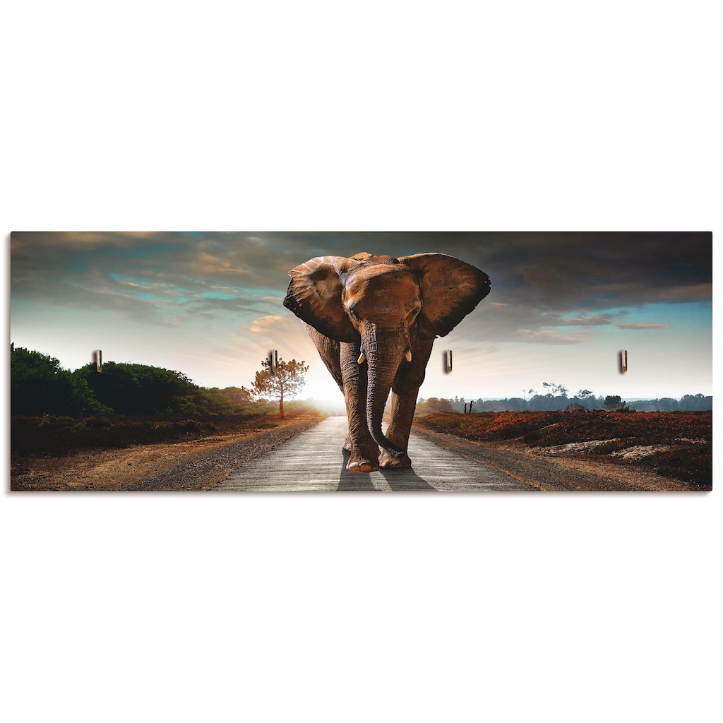 Artland Hakenleiste »Ein Elefant läuft auf der Straße«