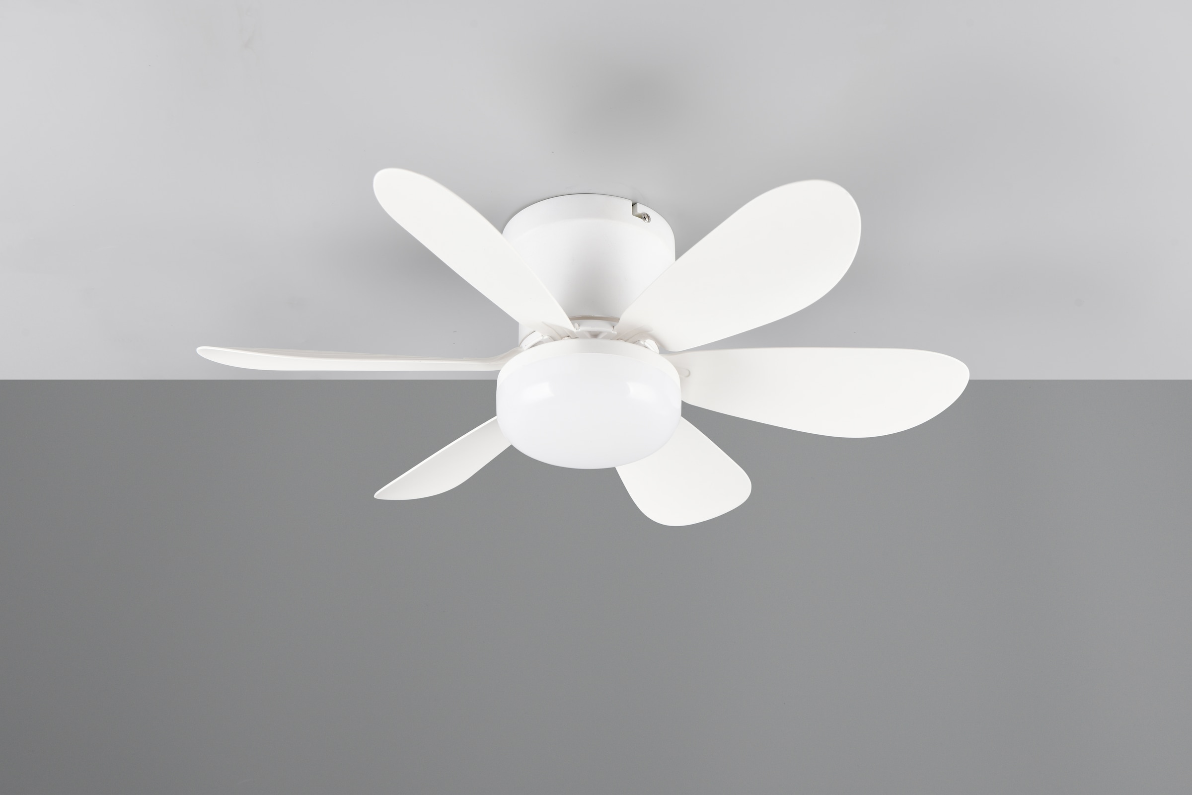 REALITY Leuchten LED Deckenleuchte »LUND mit Ventilator, Deckenventilator mit Licht inkl Fernbedienung« LED-Board 1 Stk. warmweiß - kaltweiß 3 Geschwindigkeiten Timer Vor- & Rücklauf LED dimmbar CCT Nachtlicht