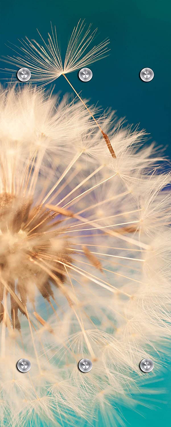 queence Garderobenleiste »Anneli«, Wand Garderobe, Blume, Pusteblume, platzsparend