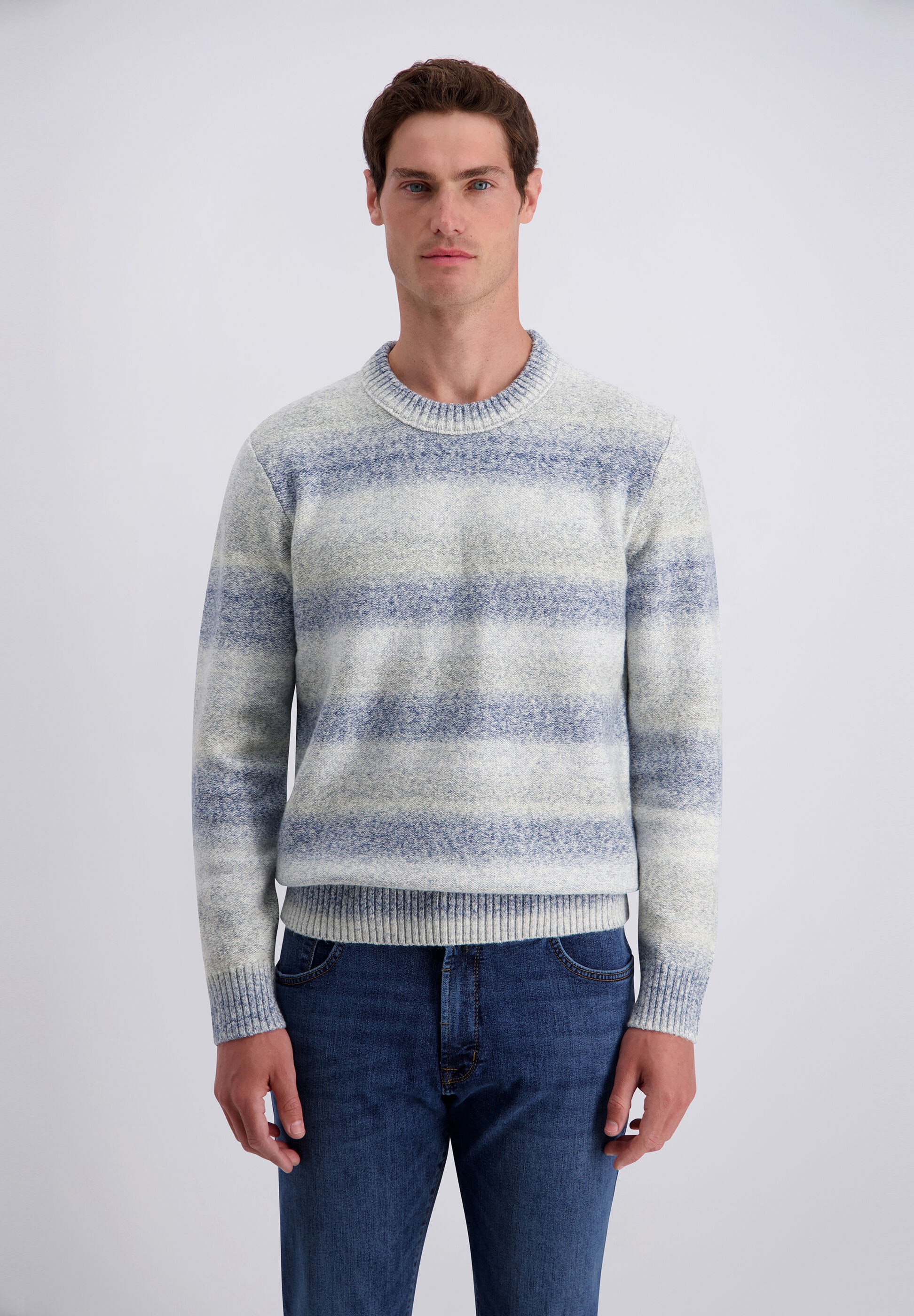 Pierre Cardin Strickpullover »Pierre Cardin Pullover« aus einer Baumwollmischung