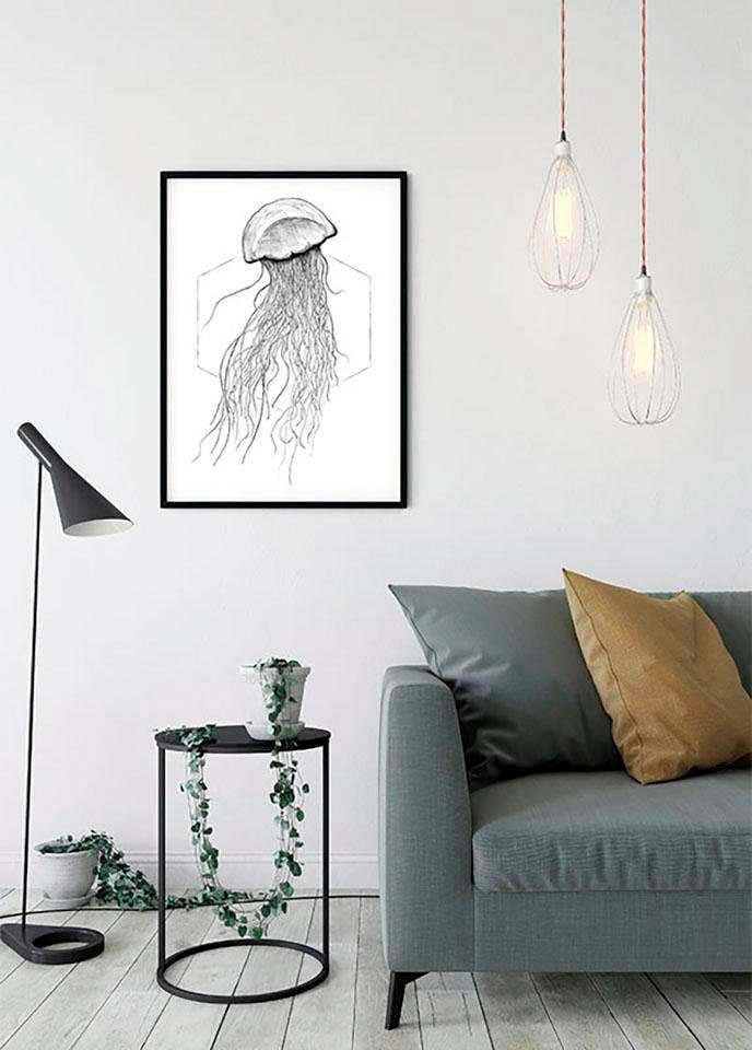 Komar Bild »Jellyfish White« Tiere 1 Stk. tlg. Wandbild zur Dekoration - ohne Rahmen