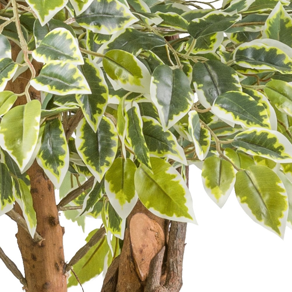 Creativ green Kunstpflanze »Ficus benjamina«, mit Naturstamm