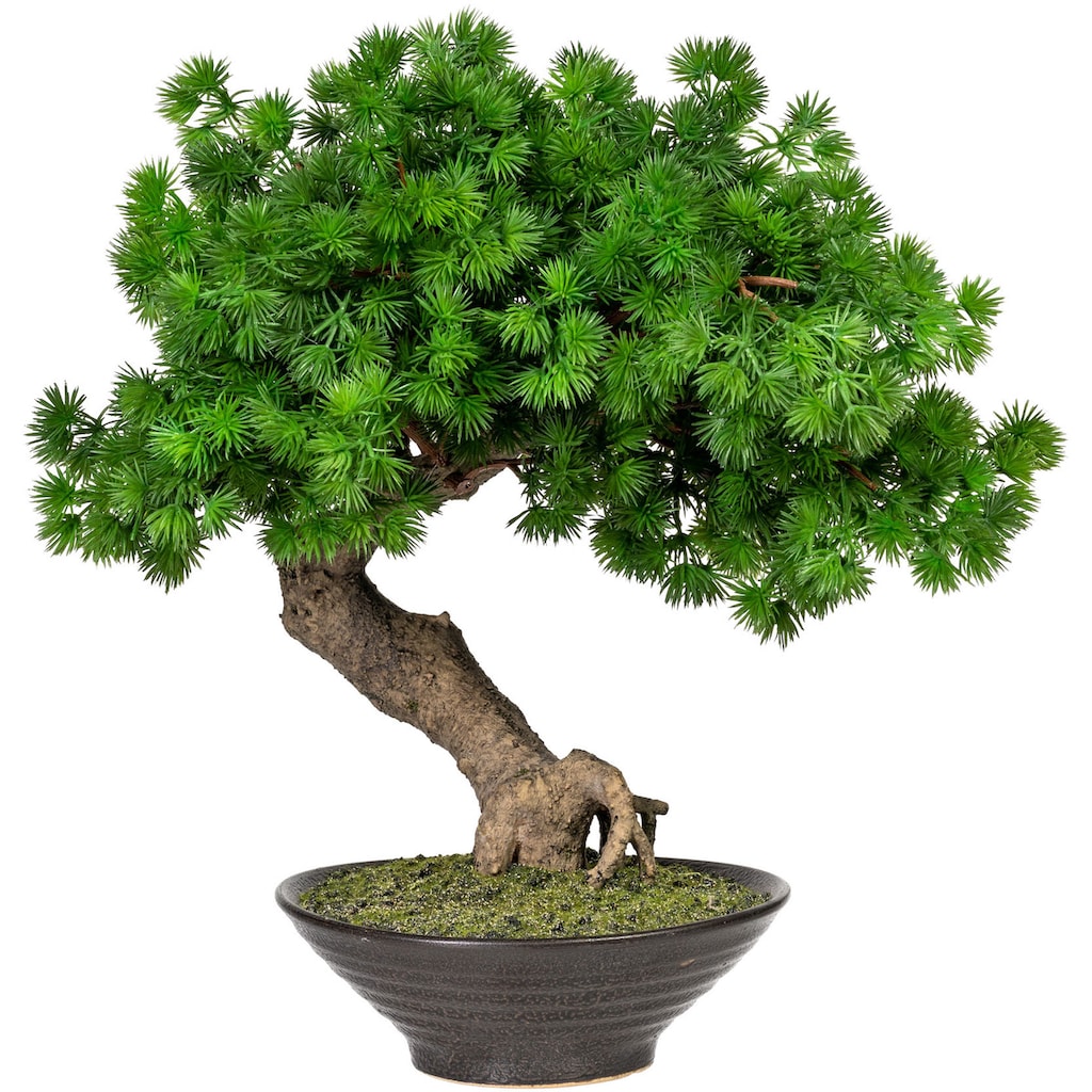 Home affaire Kunstbonsai »Perham«