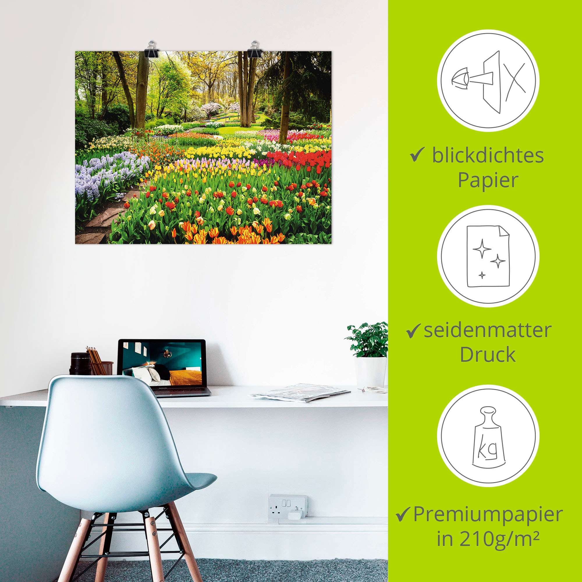 Artland Wandbild »Tulpen Garten Frühling«, Blumenwiese, (1 St.), als Alubild, Outdoorbild, Leinwandbild, Poster, Wandaufkleber