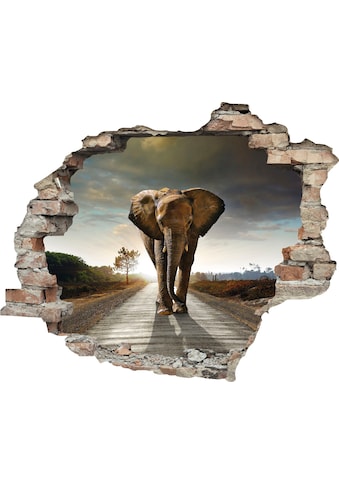 queence Wandtattoo »Elefant«, (1 St.) kaufen