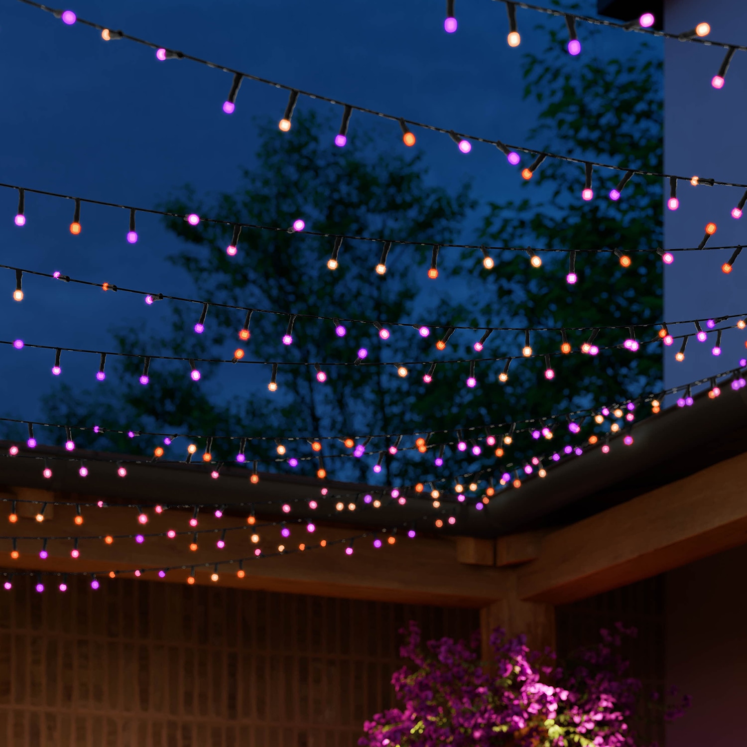 Philips Hue LED-Lichterkette »Festavia 40«, 500 St.-flammig