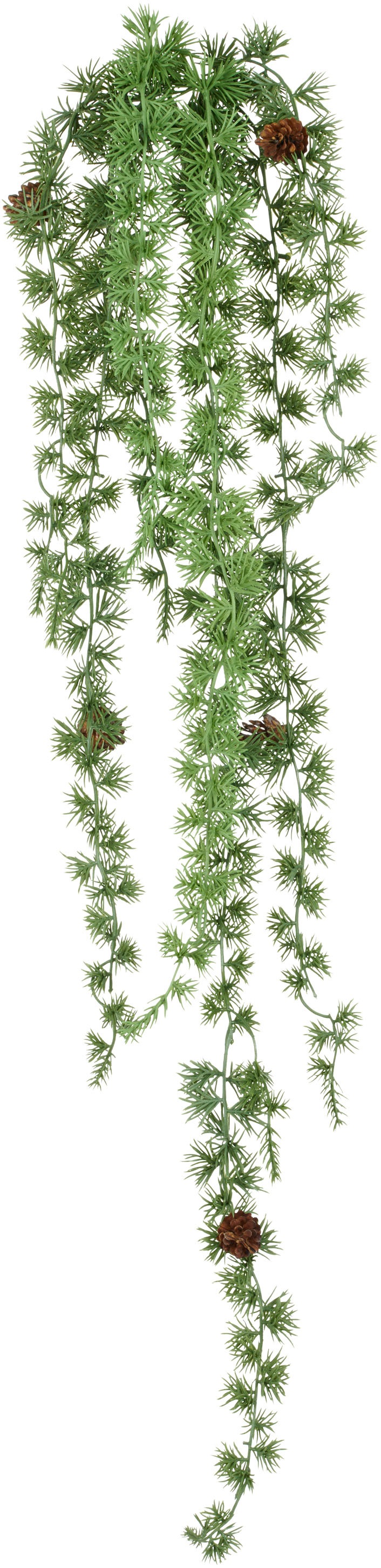 Creativ green Kunstranke »Hängezweig mit Zedernzweigen« mit Zapfen