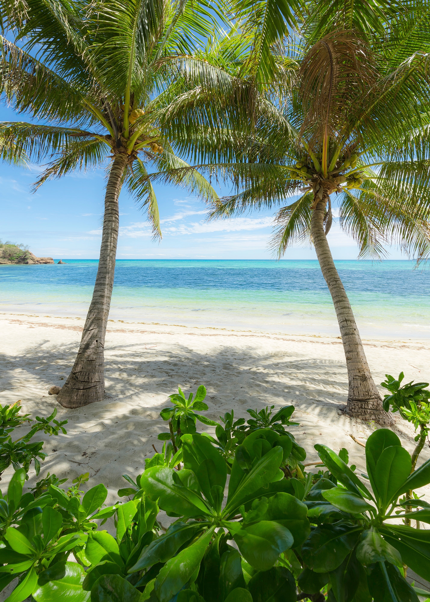 Komar, Vliestapete »Digitaldruck Vlies - Palmy Beach - Größe 200 x 280 cm« bedruckt glatt Wohnzimmer, Schlafzimmer, grün/blau, Vlies, B/L: 200 m x 280