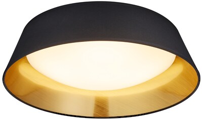 TRIO Leuchten LED Deckenleuchte »Ponts«, 1 flammig-flammig, schwarz goldfarbig,... kaufen