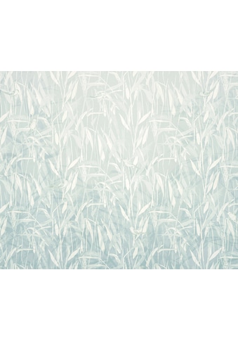 Komar Fototapete »Reed«, botanisch-tropisch-Motiv, BxL: 300x250 cm, 150 g/m²,... kaufen