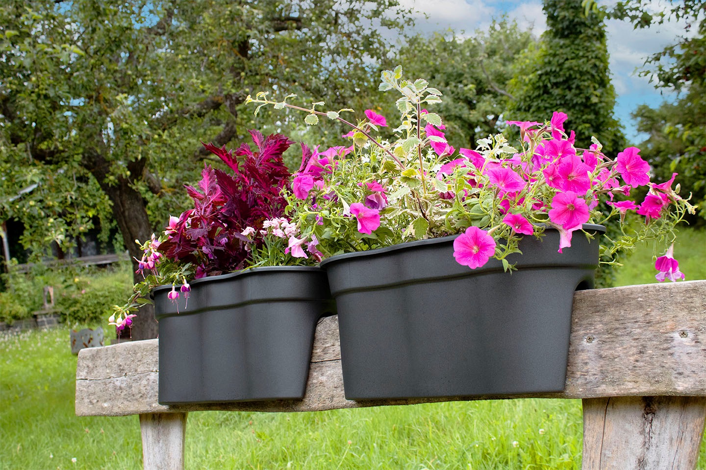 KHW Balkonkasten »Flowerclip XXL«, (Set, 2 St.), BxTxH: 57,5x27,7x27 cm