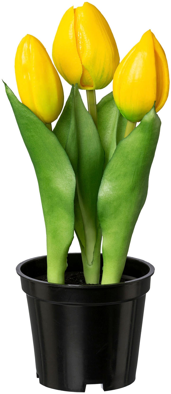 Creativ green Kunstblume »Tulpe« mit real-touch-Blüten