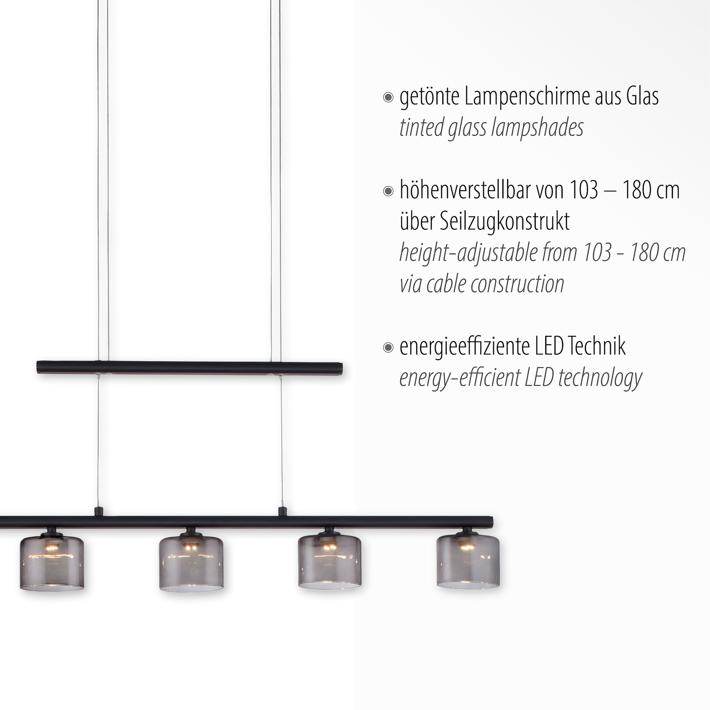 Paul Neuhaus Pendelleuchte »HYDRA«, 5 flammig-flammig, LED online kaufen |  mit 3 Jahren XXL Garantie