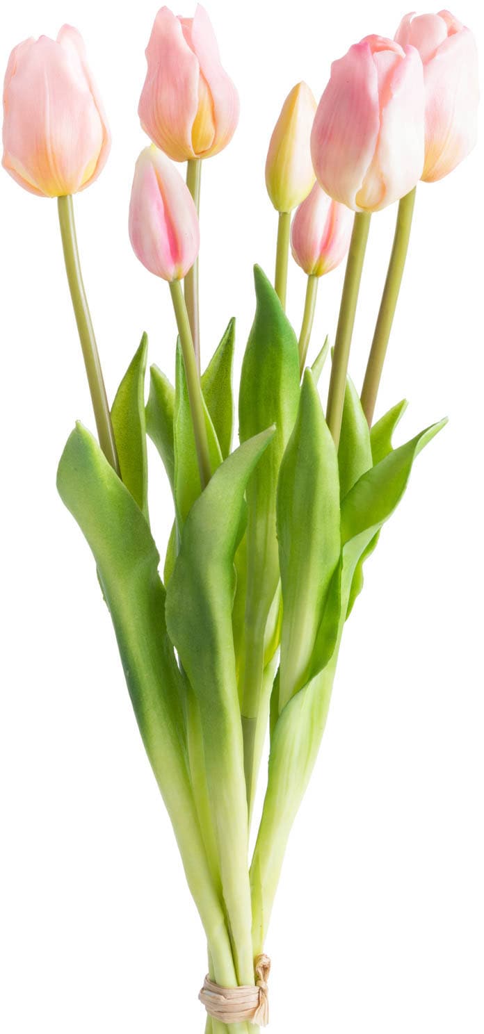 Kunstblume Botanic-Haus Rechnung kaufen »Tulpenbündel« auf