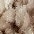hellbeige