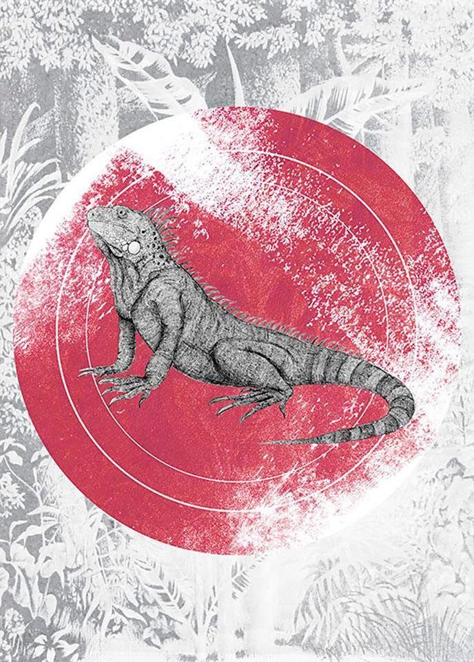 Komar Bild »Iguana Circle« Tiere 1 Stk. tlg. Wandbild zur Dekoration - ohne Rahmen