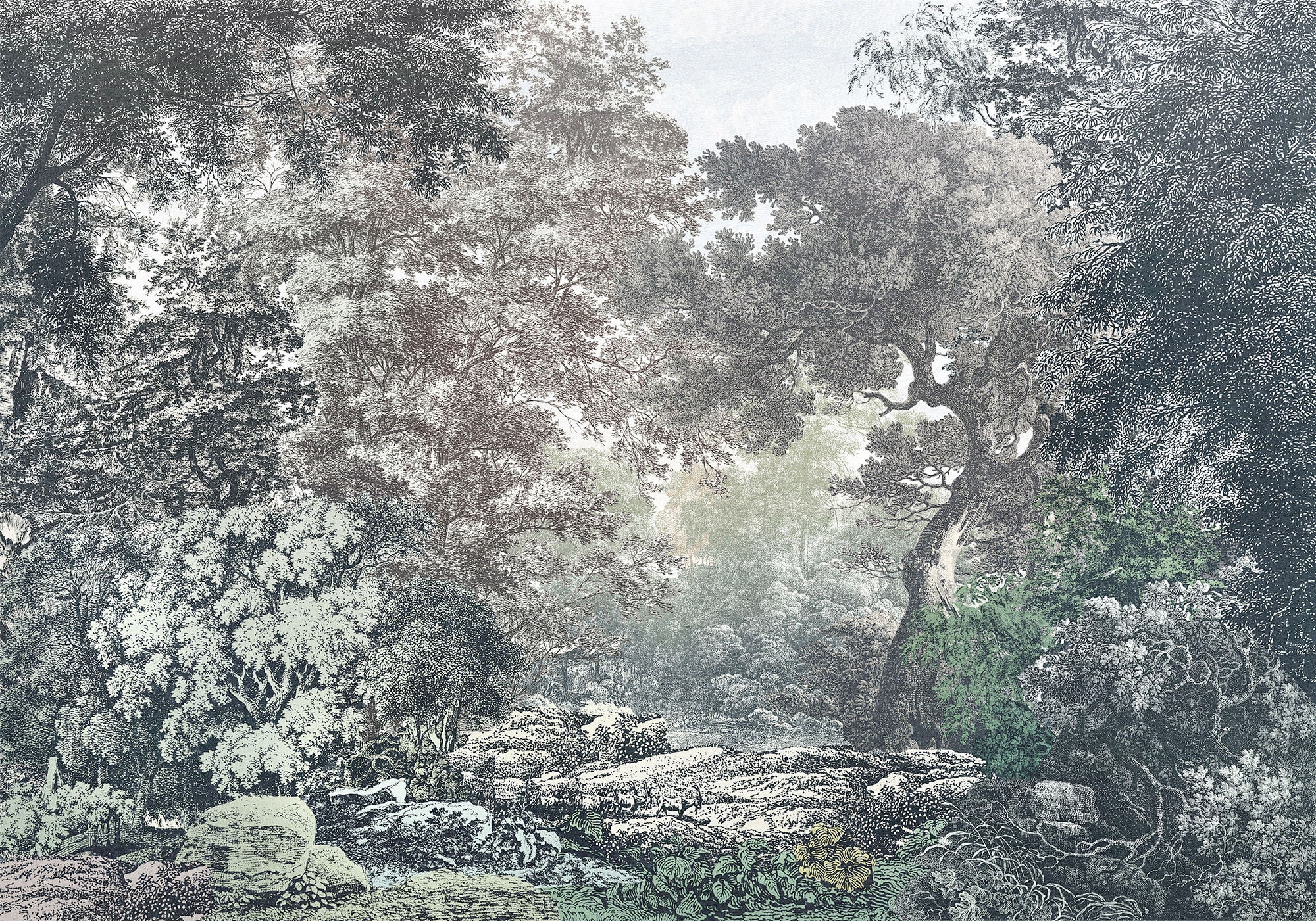 Komar Vliestapete »Fairytale Forest«, 400x280 cm (Breite x Höhe),  Vliestapete, 100 cm Bahnbreite online kaufen | mit 3 Jahren XXL Garantie