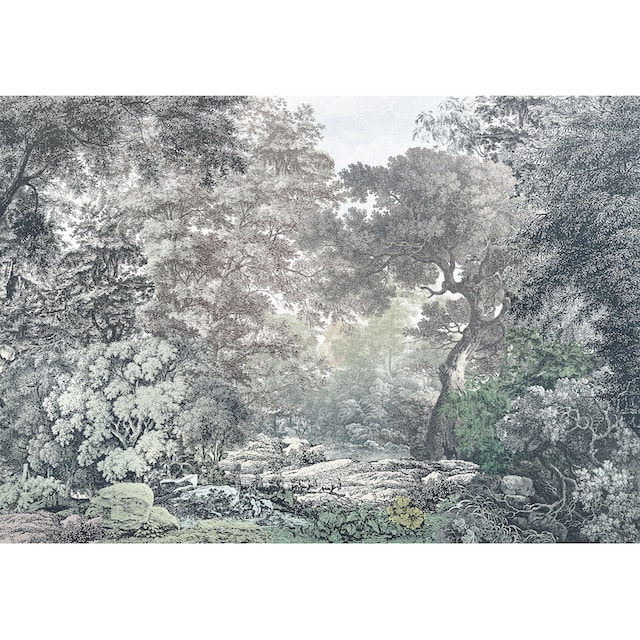 Komar Vliestapete »Fairytale Forest«, 400x280 cm (Breite x Höhe),  Vliestapete, 100 cm Bahnbreite online kaufen | mit 3 Jahren XXL Garantie