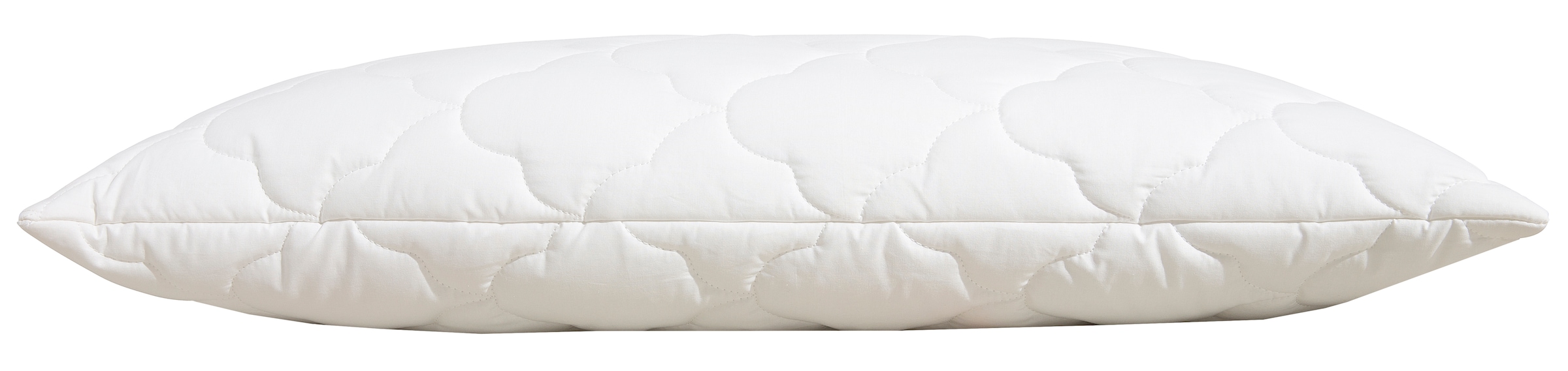 Beco Kopfkissen »EcoWell«, Füllung: Polyester, Bezug: Bio-Baumwolle oder nachhaltiger Microfaser-Feinbatist samtweich, (1 St.), Kissen in den Größen 40x80 cm und 80x80 cm erhältlich!