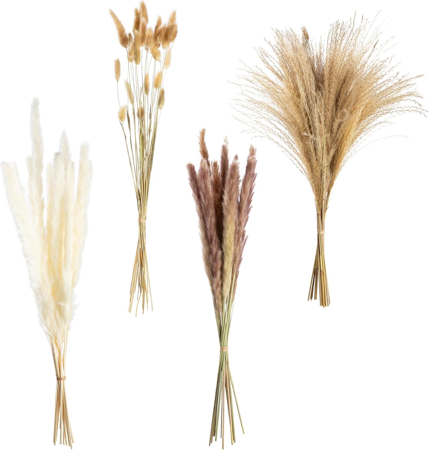 GILDE Dekoobjekt »Bündel Trockenblume Seco naturfarben H. 53 cm«