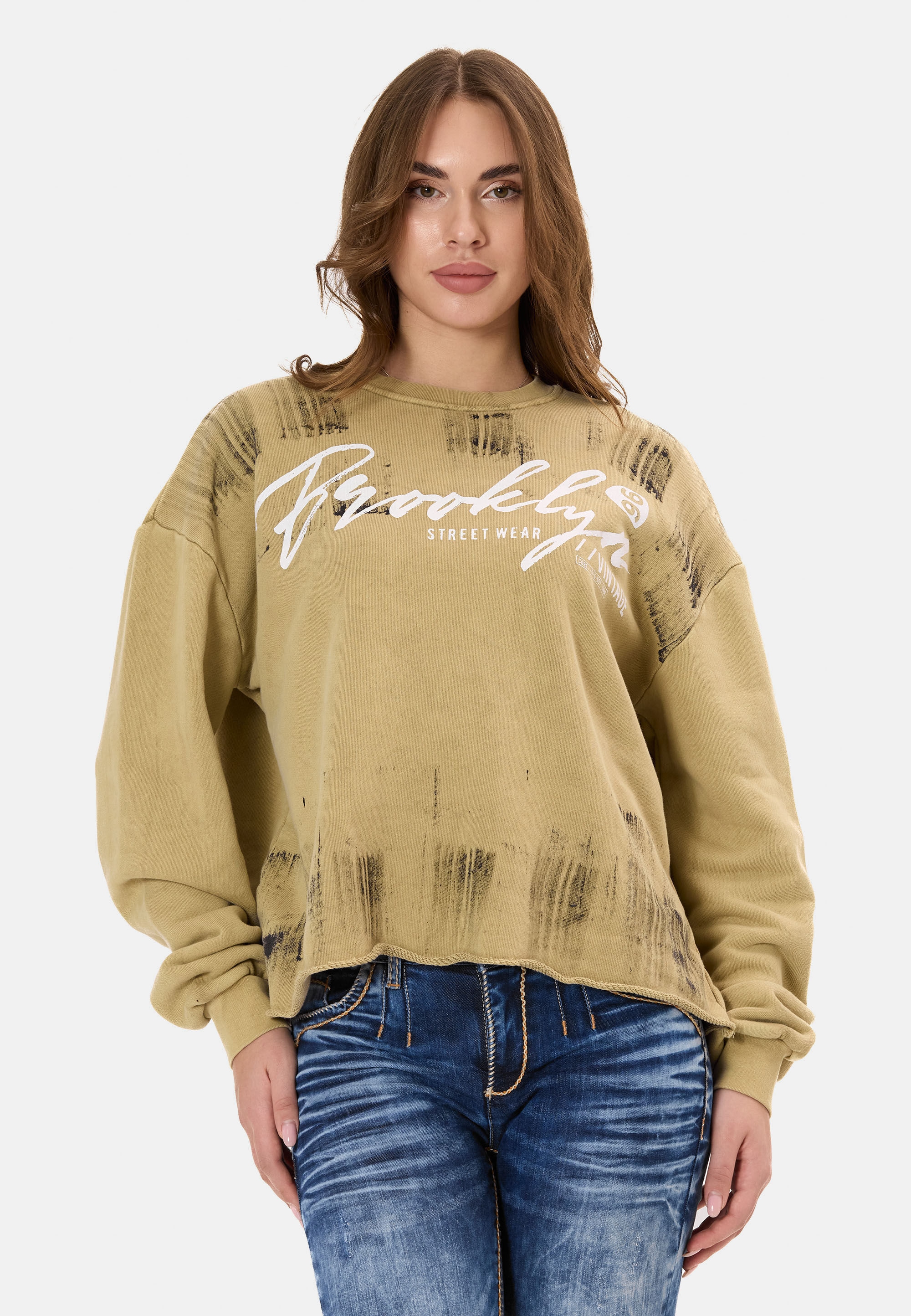 Cipo & Baxx Sweatshirt »WL375«, mit Brush-Muster
