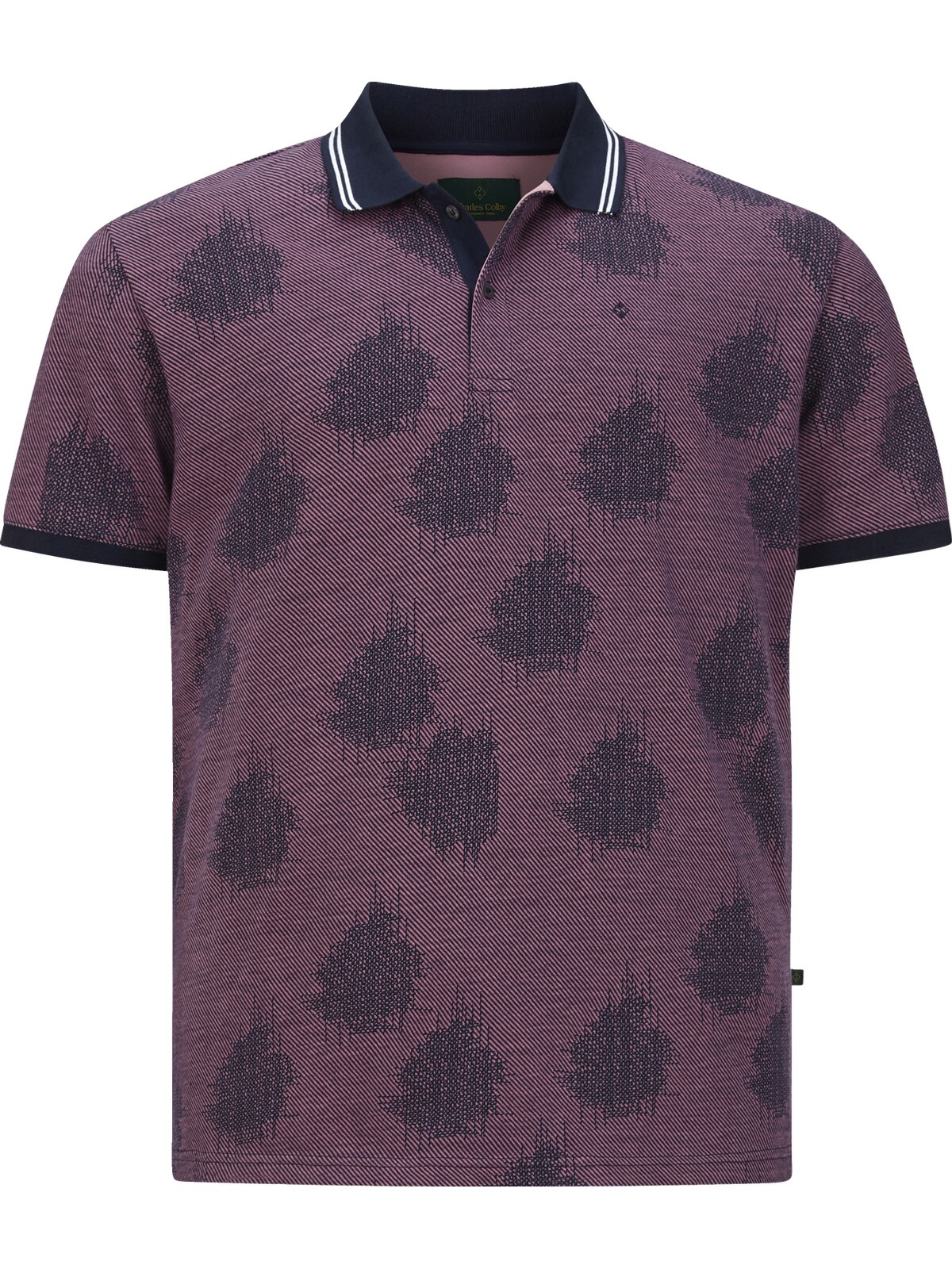 Charles Colby Poloshirt »Poloshirt EARL NEELS«, (1 tlg.), Kragen mit sportiven Streifen