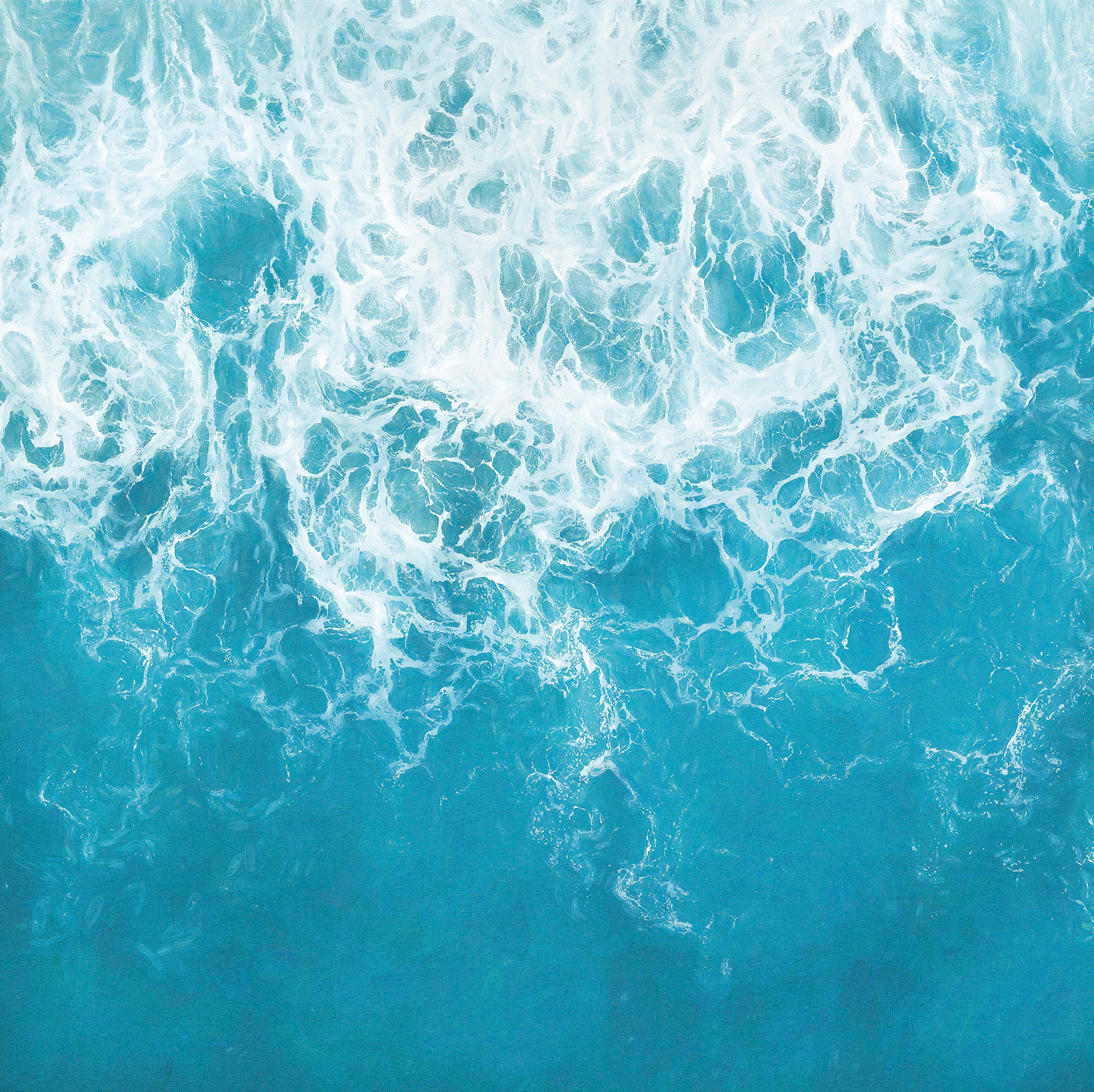 »The | bedruckt-Strand-Meer, (Breite Höhe) cm Garantie mit Jahren Komar kaufen x XXL Shore«, 250x250 Fototapete online 3