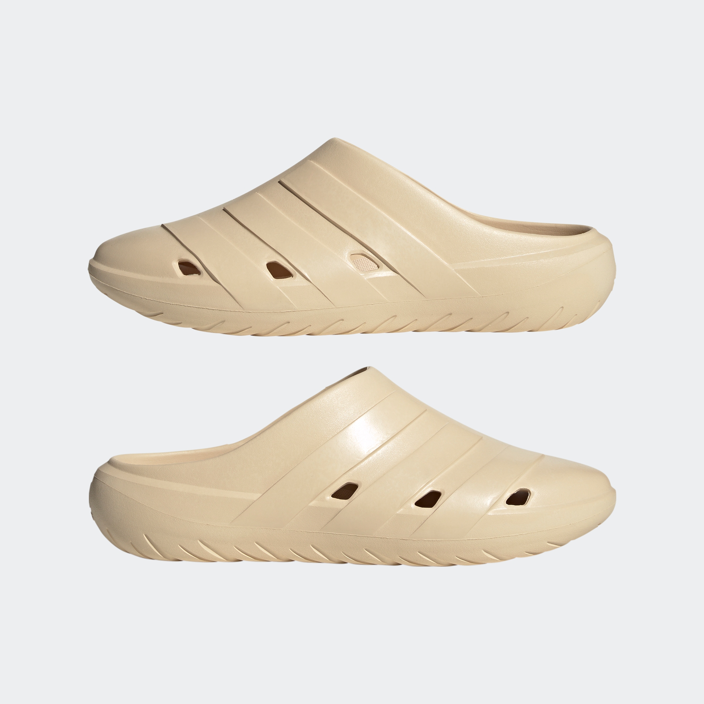 adidas Sportswear Badesandale »ADICANE CLOG«