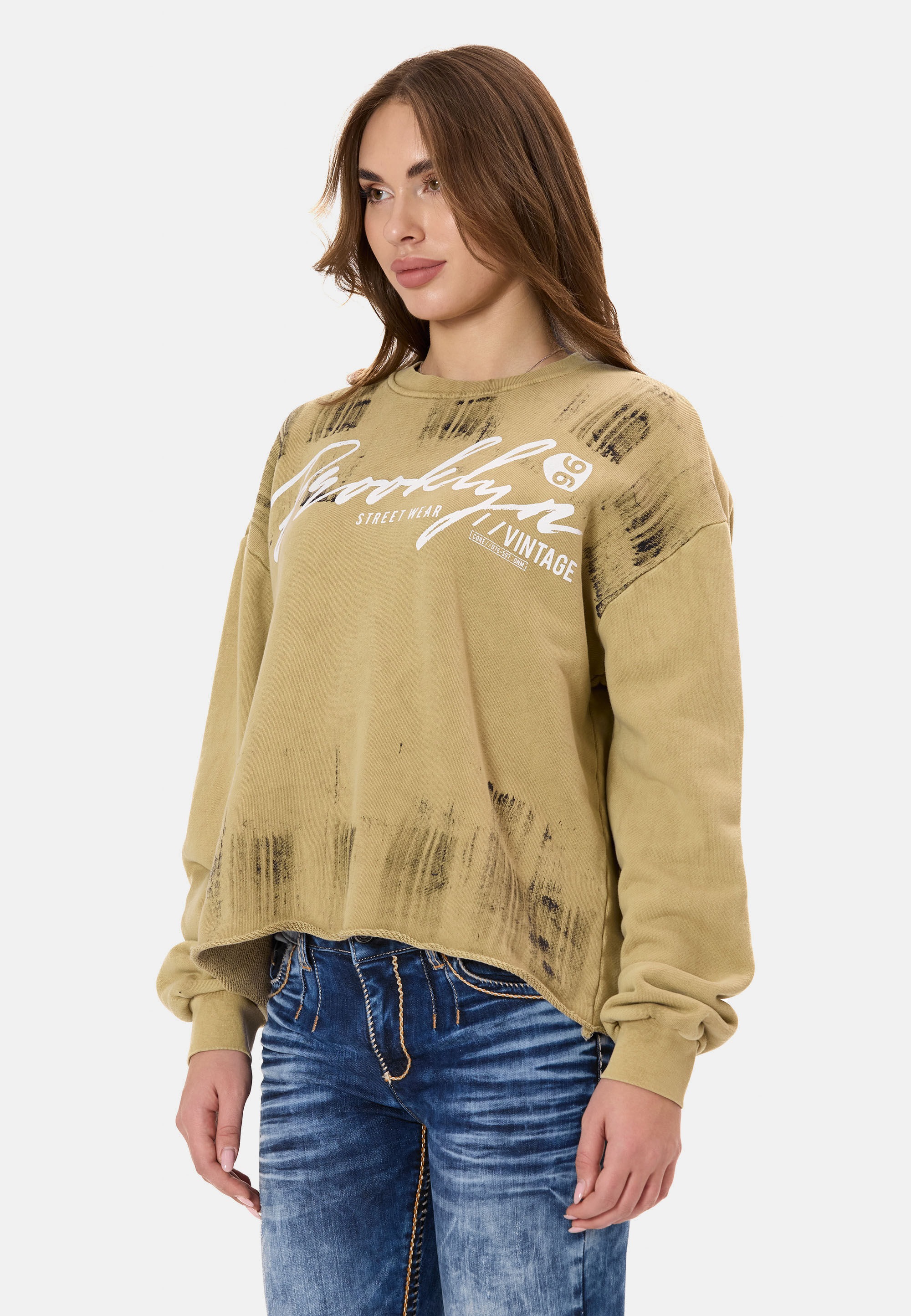 Cipo & Baxx Sweatshirt »WL375«, mit Brush-Muster
