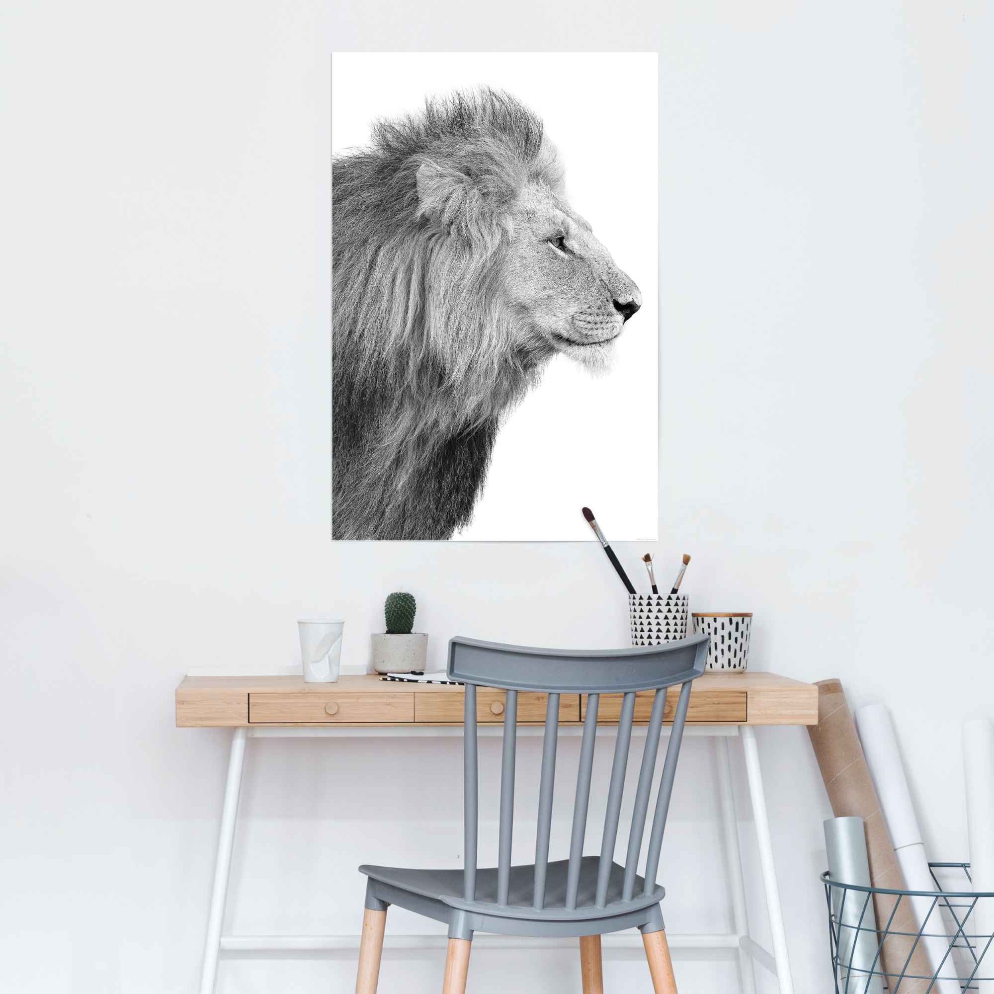 König Dschungel Reinders! kaufen - St.) - (1 Seitenporträt »Löwe Rechnung Poster auf - Kräftig«,