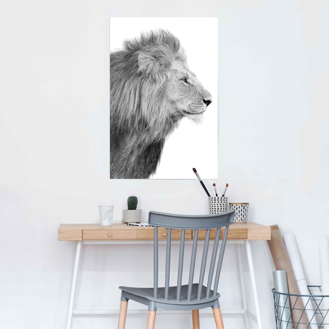 Reinders! Poster »Löwe König - Dschungel - Seitenporträt - Kräftig«, (1 St.)  auf Rechnung kaufen